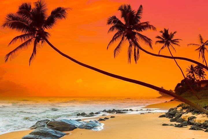 11 Days to Explore Sri Lanka