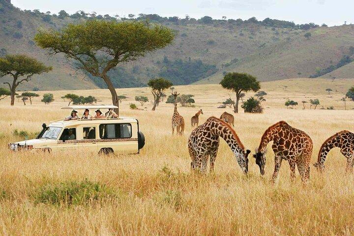 Nairobi National Park, Blixen, Beads and Bomas Cultural Dance
