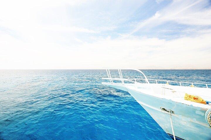 Ras Mohammed & White Island: Snorkel, Optional Dive & Lunch