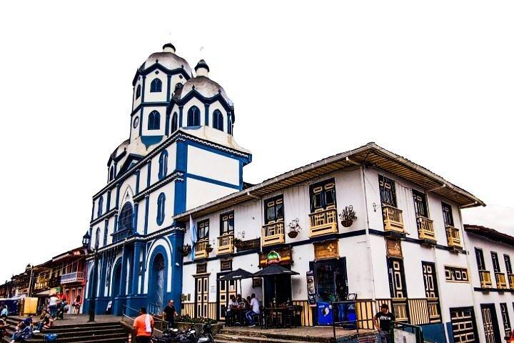 Private Tour to Salento, Cocora Valley and Philandia