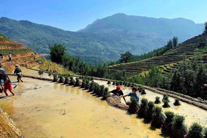 Transfer to or from Sapa in a Sleeper Bus from Hanoi