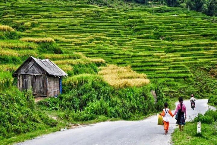 Transfer to or from Sapa in a Sleeper Bus from Hanoi