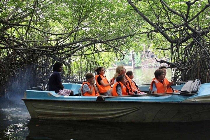 Galle & Bentota Day Tour with River safari From Colombo & Negombo