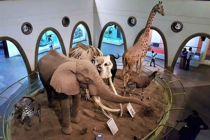 Nairobi Airport Layover Tour to Nairobi National Museum