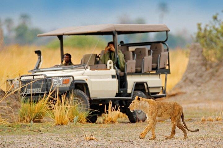 Moremi Full Day Trip From Maun