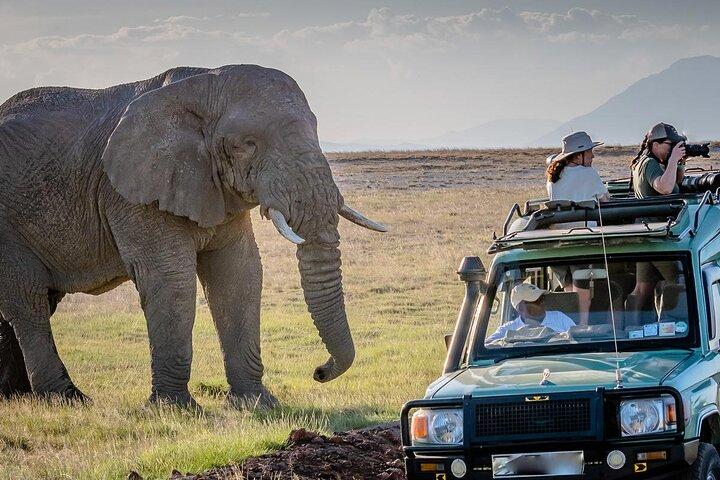 Amboseli National Park Full Day Guided Tour