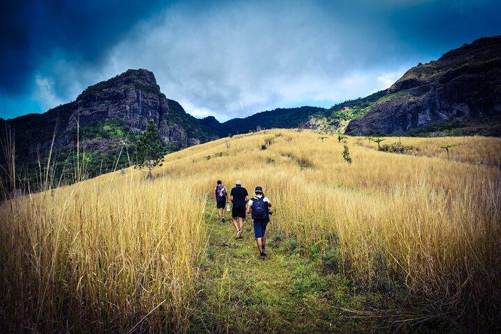 Koroyanitu National Heritage Park Fiji - Hike - Waterfall