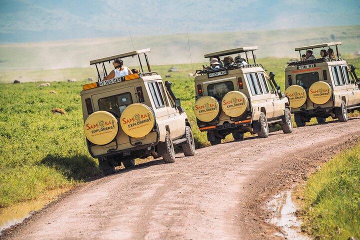 6-DayThe Best of Northern Tanzania Safari
