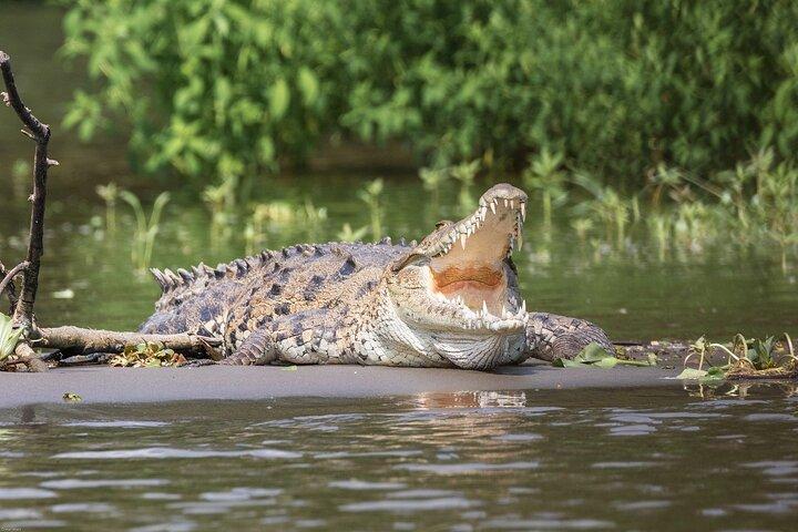 5 Day Wildlife Safari Tour in Sri Lanka