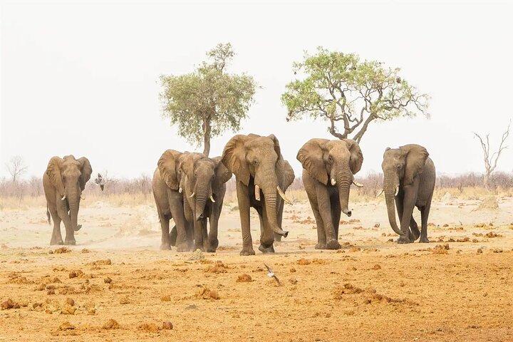 3 Days Tsavo East and West Safari Tour from Nairobi on 4x4 Jeep