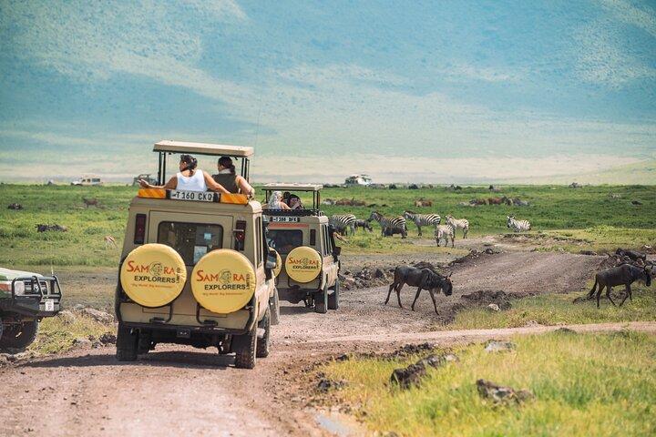 6-DayThe Best of Northern Tanzania Safari