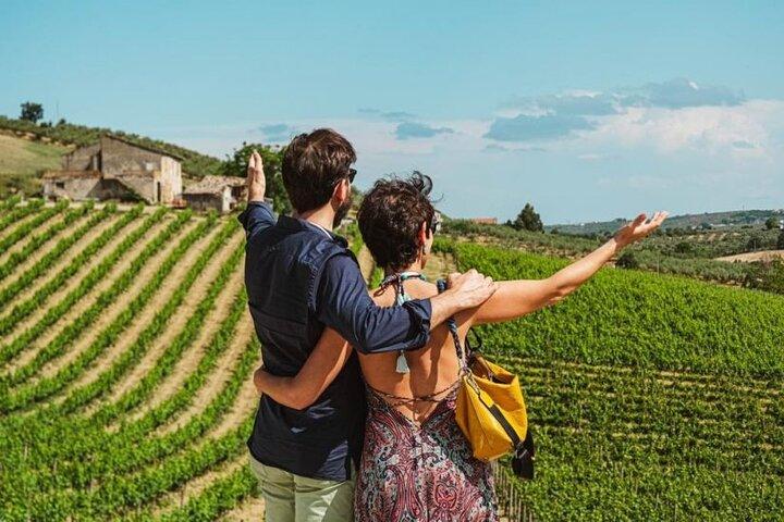 Private Tour of San Gimignano, Monteriggioni and Siena from Florence