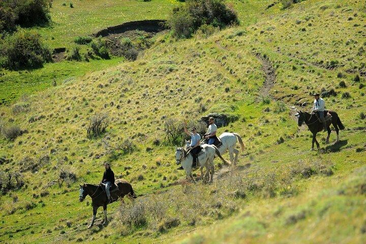 Adventure Horseback Riding on Cerro Frias