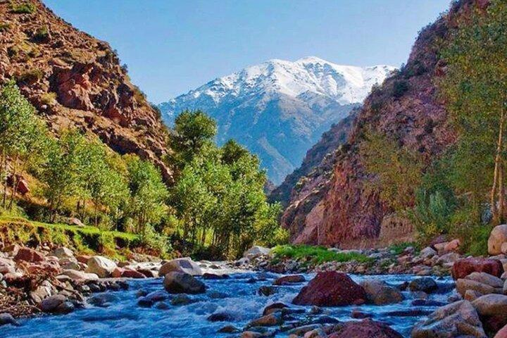 Excursion to the Ourika Valley