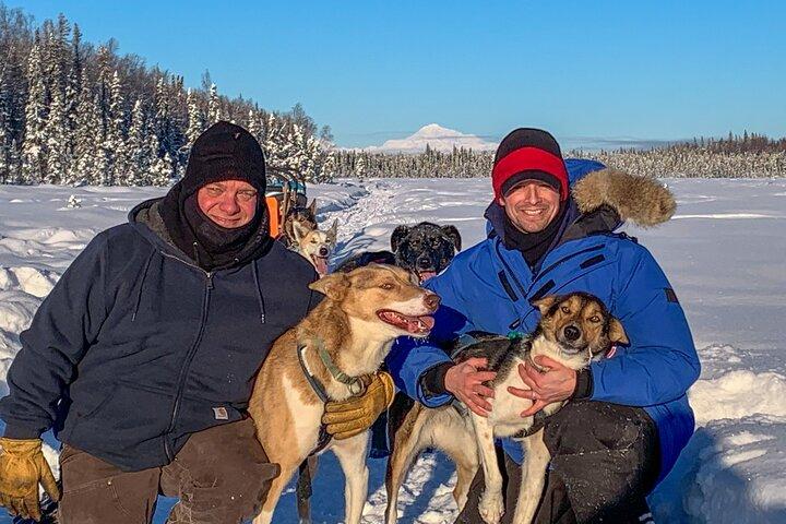 Dog Sledding Adventure in Willow, Alaska