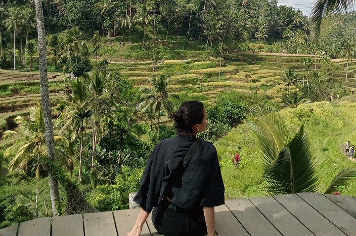 Ubud Half Day Private Tour Rice Terraces Temple Waterfall