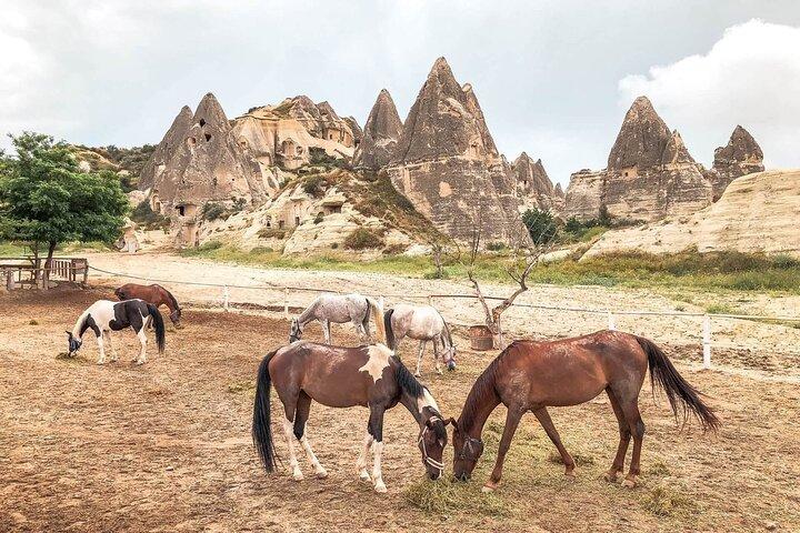 Cappadocia Horse Riding: Sunrise, Sunset or Daytime