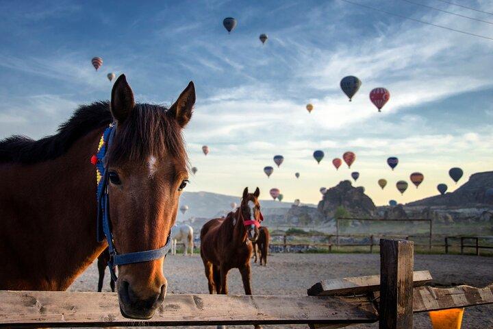 Cappadocia Horse Riding: Sunrise, Sunset or Daytime