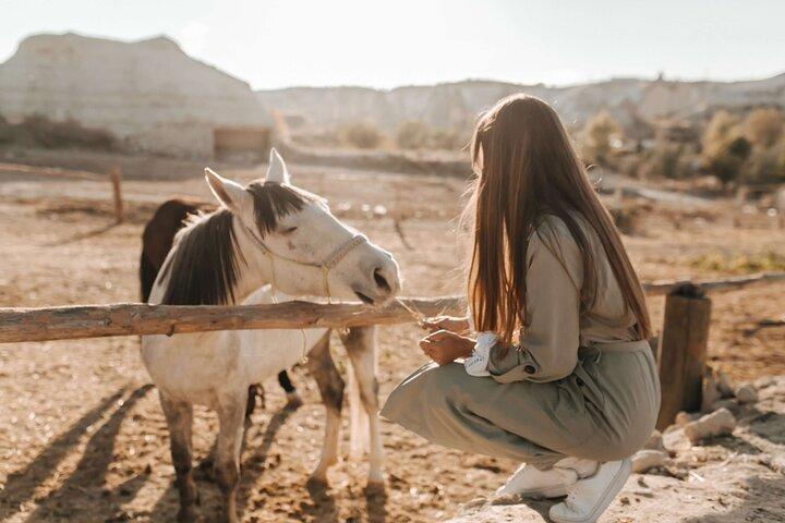 Cappadocia Horse Riding: Sunrise, Sunset or Daytime