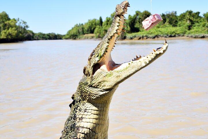 Darwin: Adelaide River Queen Original Jumping Crocodile Cruise