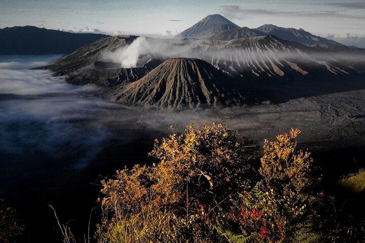 Shared Bromo Tour Start From Malang - 1D