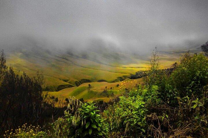 Shared Bromo Tour Start From Malang - 1D