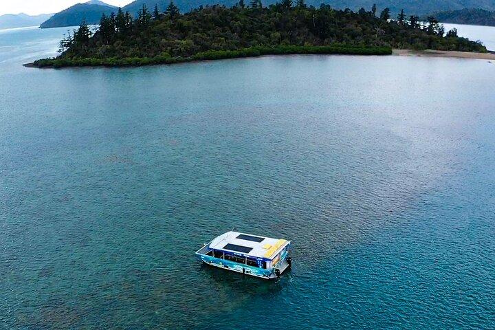 Airlie Beach Glass Bottom Boat Tour