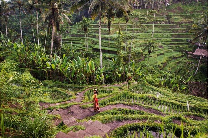 Ubud Top Attractions: Waterfalls, Temples and Rice Terraces