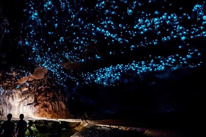 Private 2 Days Tour from Auckland - Waitomo, Hobbiton and Rotorua