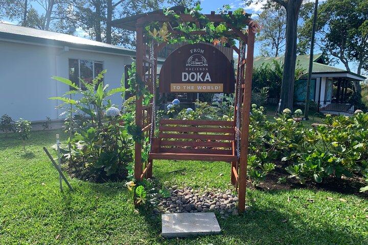 Coffee Farm Experience & visit Poas Volcano crater from San José