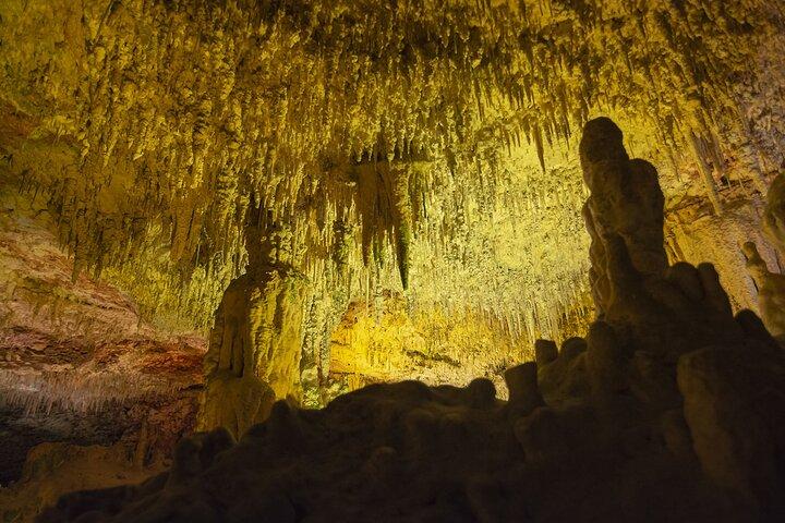 Caves Drach Boat Trip from Alcudia with Return Bus and Tickets
