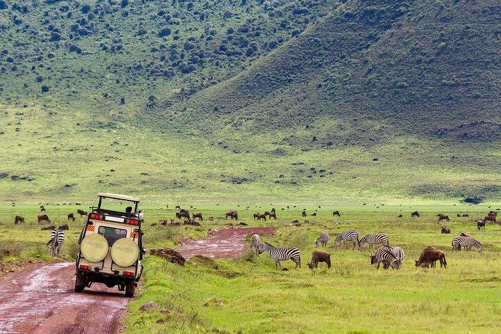 6 Days Masai Mara Serengeti and Ngorongoro on 4x4 Landcruiser