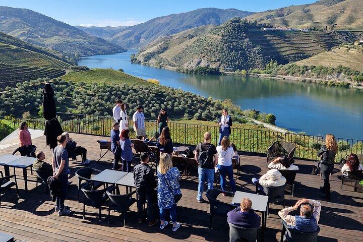 Douro Valley Tour: Wine Tasting River Cruise and Lunch from Porto