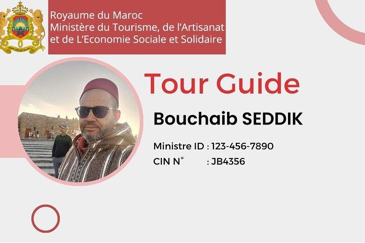 Visit Marrakech city 1 day from Agadir