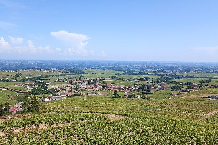 Beaujolais Day Guided Tour - Winery Tours and Tastings