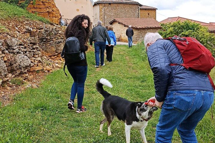 Beaujolais Day Guided Tour - Winery Tours and Tastings