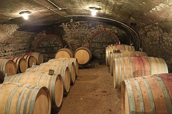 Beaujolais Day Guided Tour - Winery Tours and Tastings