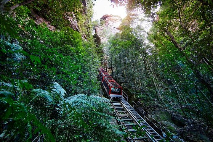 Blue Mountains All-inclusive Tour with Scenic World & Lunch