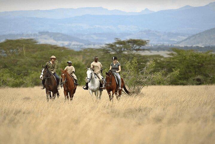 4 Days Amboseli Taita Hills Salt Lick and Tsavo East Safari