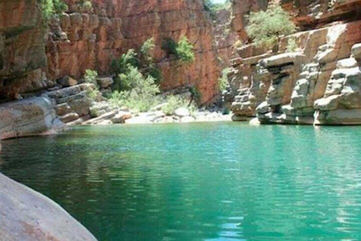Paradise Valley Tour & Goats on Argan Trees – One-Day Package
