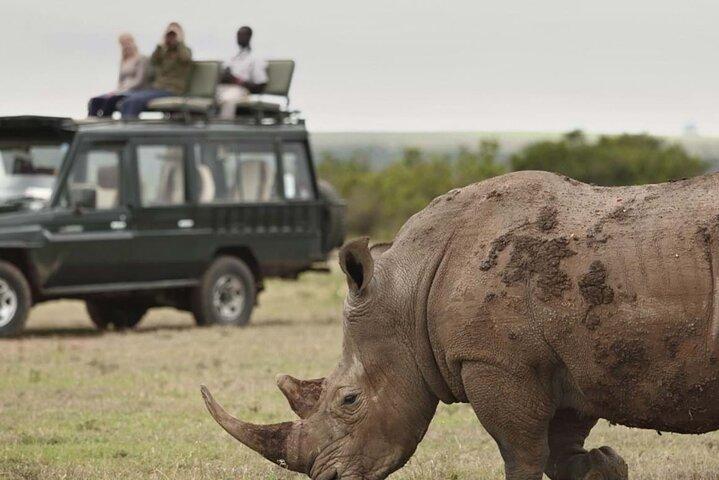 4 Days Ol Pejeta and Samburu National Reserve Safari on 4x4 Jeep