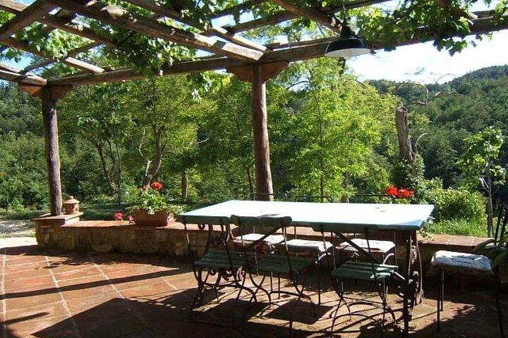 Florence Cooking Class in a Gorgeous Countryside Home with Maria