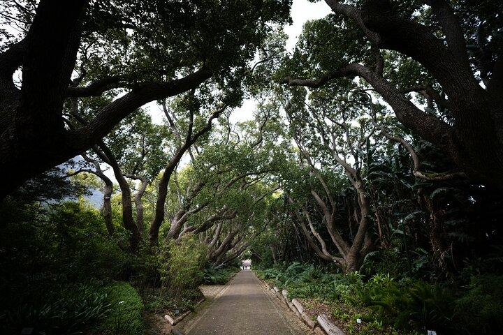 Kirstenbosch Gardens: An Audio Tour by Botany Expert