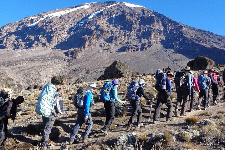 Mount Kenya National Park Full-Day Hike
