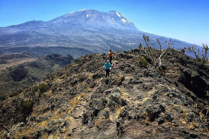 Mount Kenya National Park Full-Day Hike