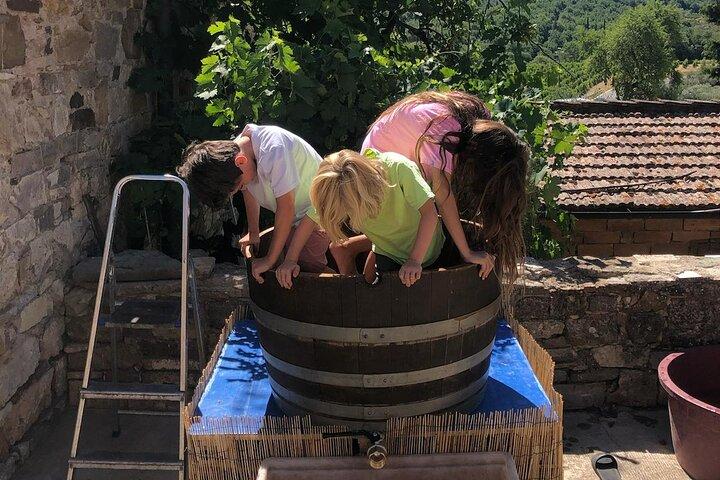Grape Stomping Experience and Wine Tasting