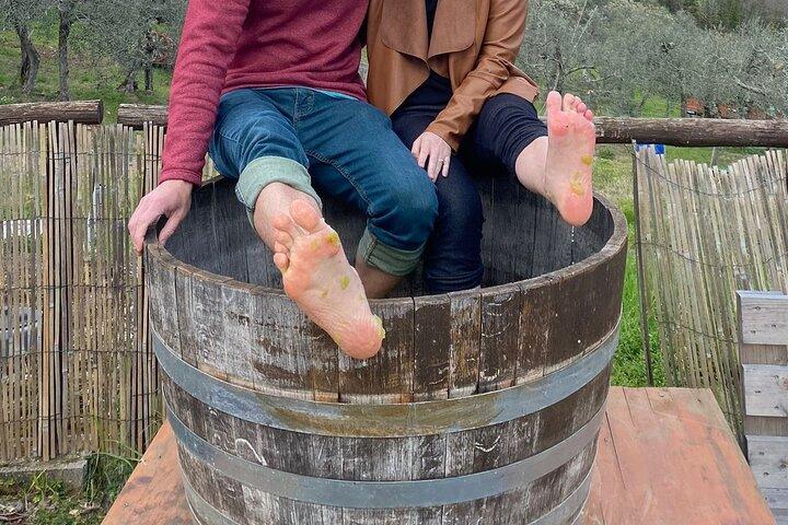Grape Stomping Experience and Wine Tasting
