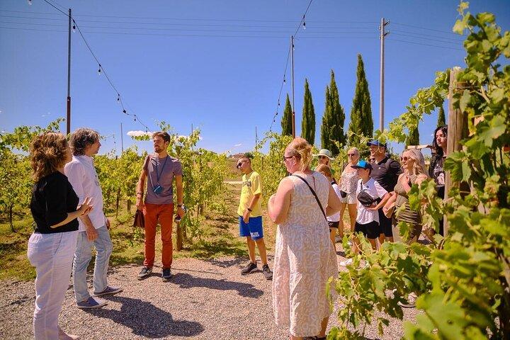 Siena San Gimignano and Pisa Tour with Tuscan Lunch and Wine