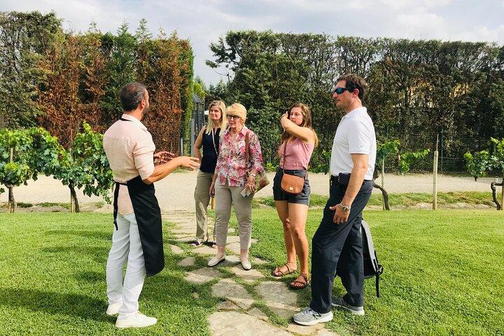 Tuscany: Chianti Semi-Private Wine Tasting and Dinner in Vineyard