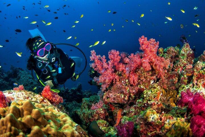 3 Fun Dives King Cruiser Wreck and Koh DokMai for Certified diver